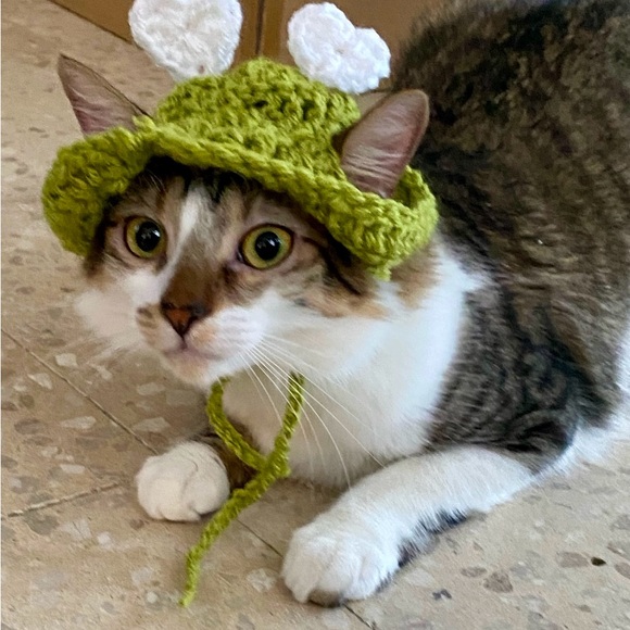 🐾 Handcrafted Crochet Hats for Pets 🧶💚 - Picture 5 of 5